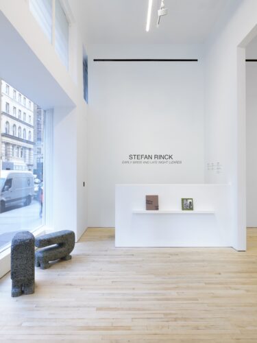 Installation View: Stefan Rinck, Early Birds and Late Night Lizards, 2023, New York © Courtesy of Nino Mier Gallery