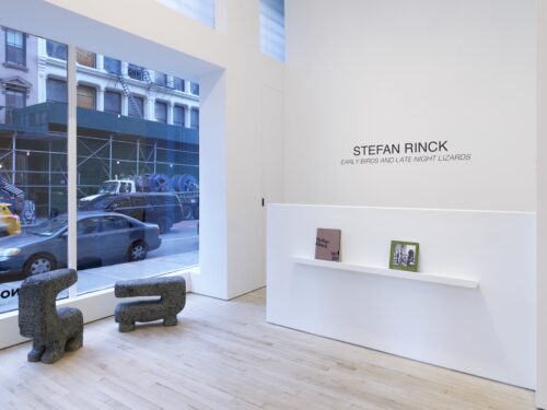 Installation View: Stefan Rinck, Early Birds and Late Night Lizards, 2023, New York © Courtesy of Nino Mier Gallery