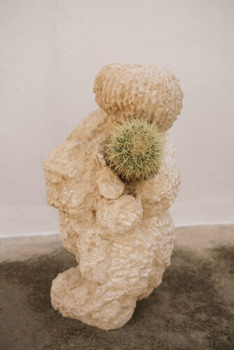 Sculpture Garden. Photo: Alex Forge.